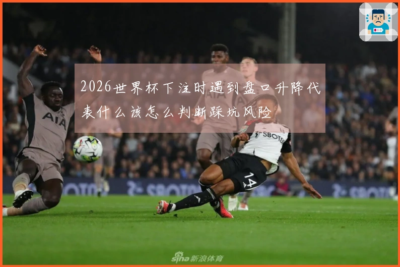 2026世界杯下注时遇到盘口升降代表什么该怎么判断踩坑风险