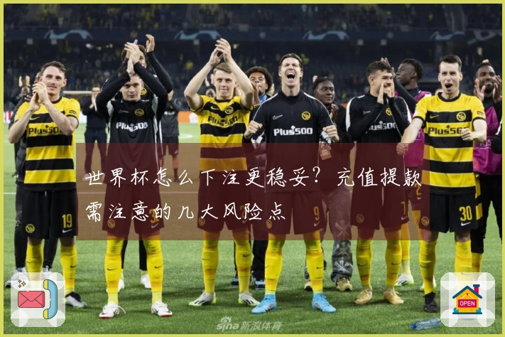 世界杯怎么下注更稳妥？充值提款需注意的几大风险点