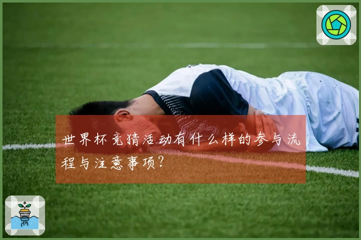 世界杯竞猜活动有什么样的参与流程与注意事项？